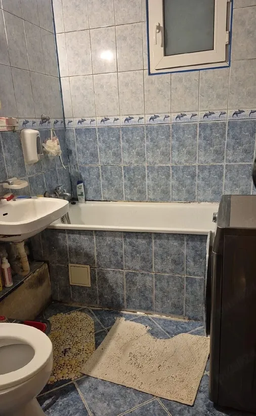Dristor Fizicienilor Peny vanzare ap 3 cam dec