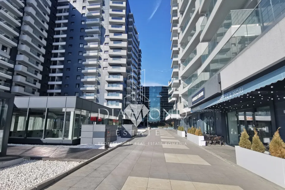0 Comision Penthouse 250mp Living 116mp UpGround Semifinisat