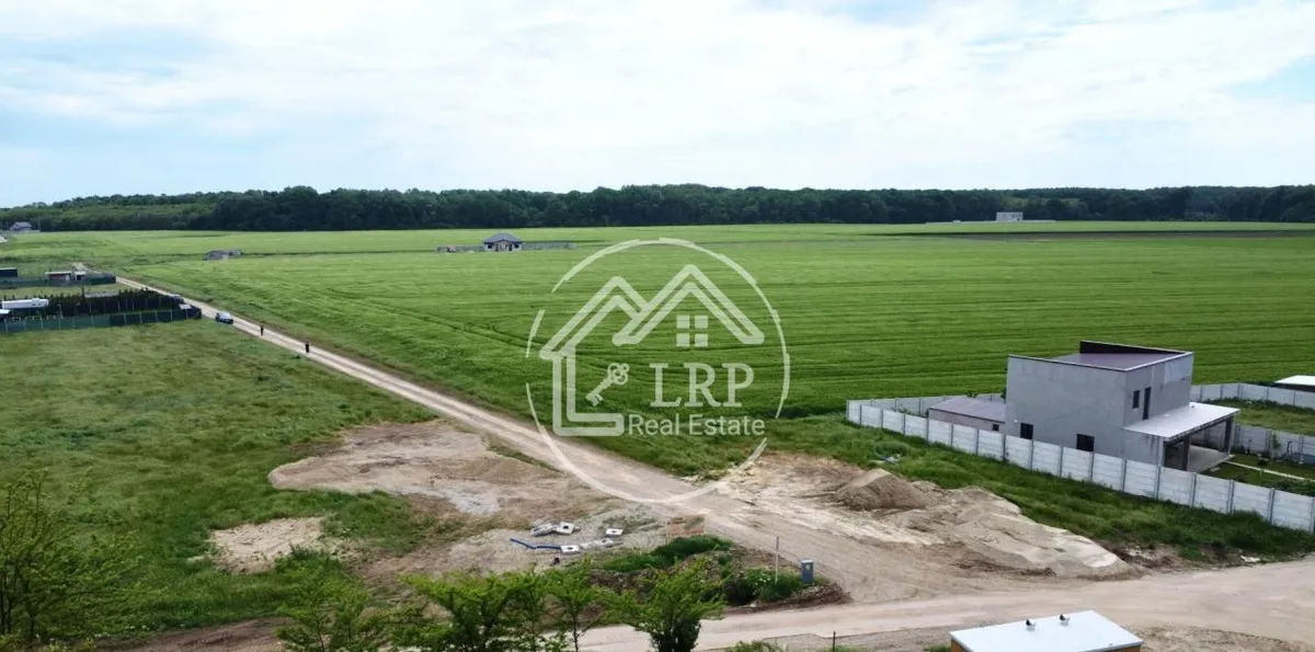 Dascalu investitie teren intravilan 25 000mp Dascalu Padure parcelabil