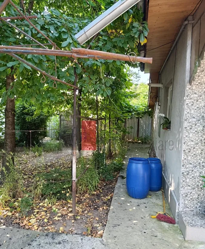 Voluntari Casa