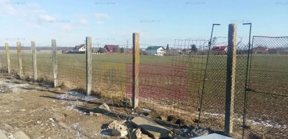 Teren Balotesti Saftica ideal pentru constructie locuinte