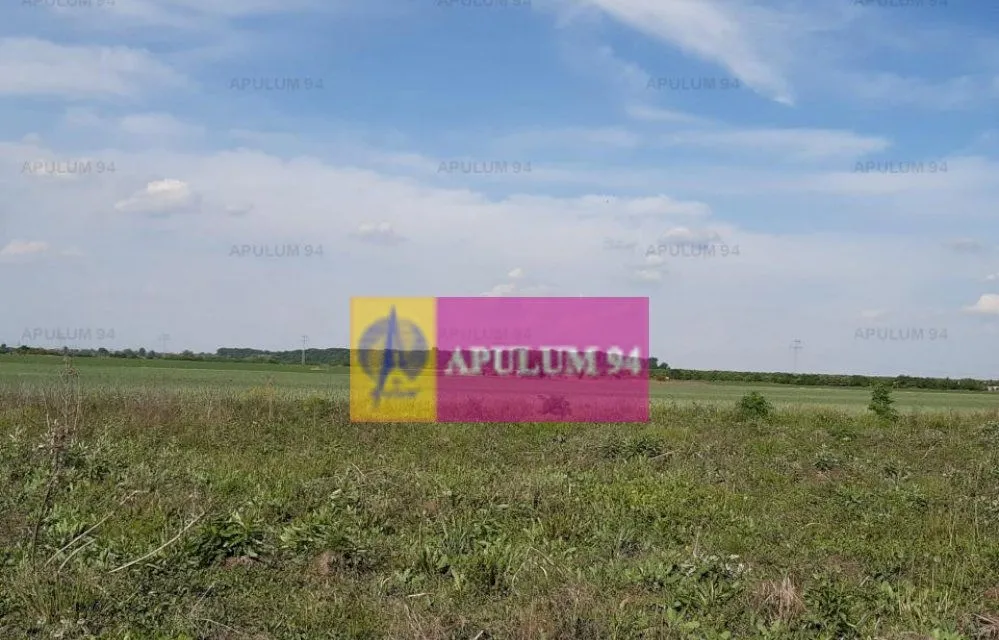 Teren aproape de Bucuresti langa padure