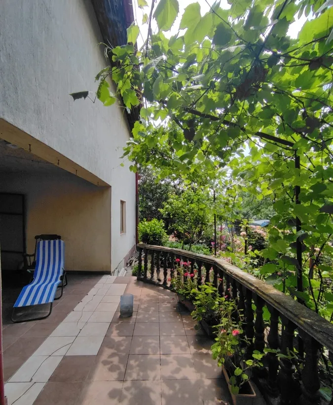 Comuna Curcani jud Calarasi vanzare casa 5 camere teren 1320 mp
