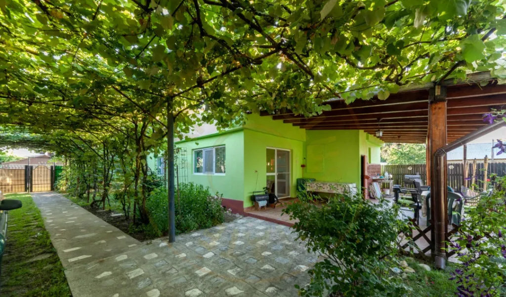 Casa vintage in Com Uliesti Dambovita cu livada gener