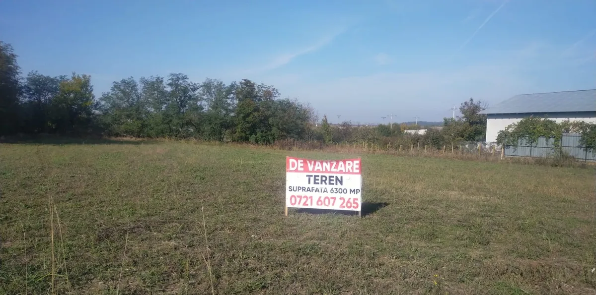 Dascalu Ilfov teren 6300 mp la dj stradal d 53 m pentru dezvoltatori etc