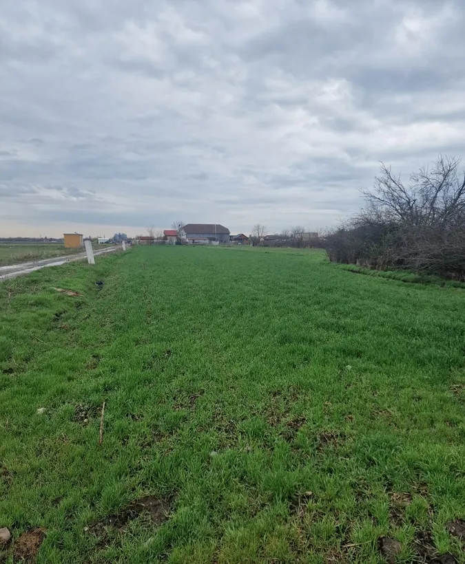 Fundulea teren intravilan 1000 mp parcelabil utilitati