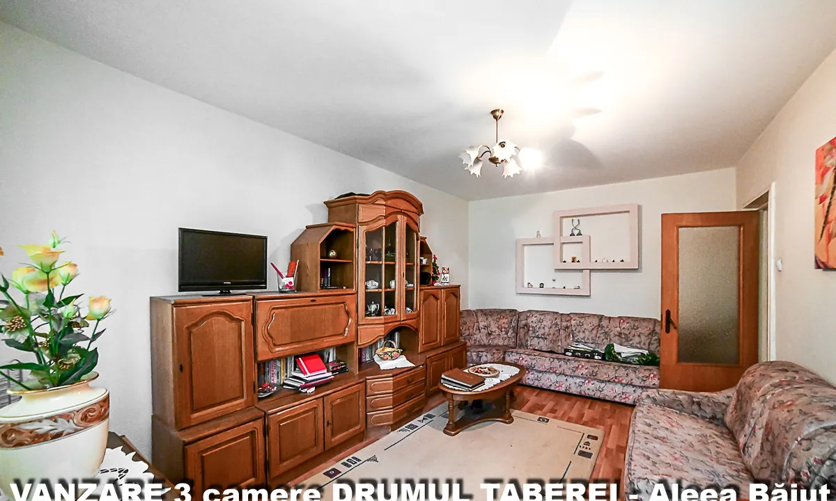 Drumul Taberei Aleea Baiut