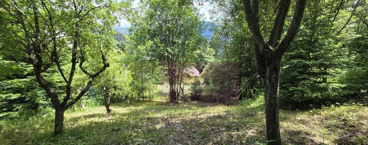 Teren exclusivist pentru dezvoltare imobiliara - Zona Furnica Sinaia
