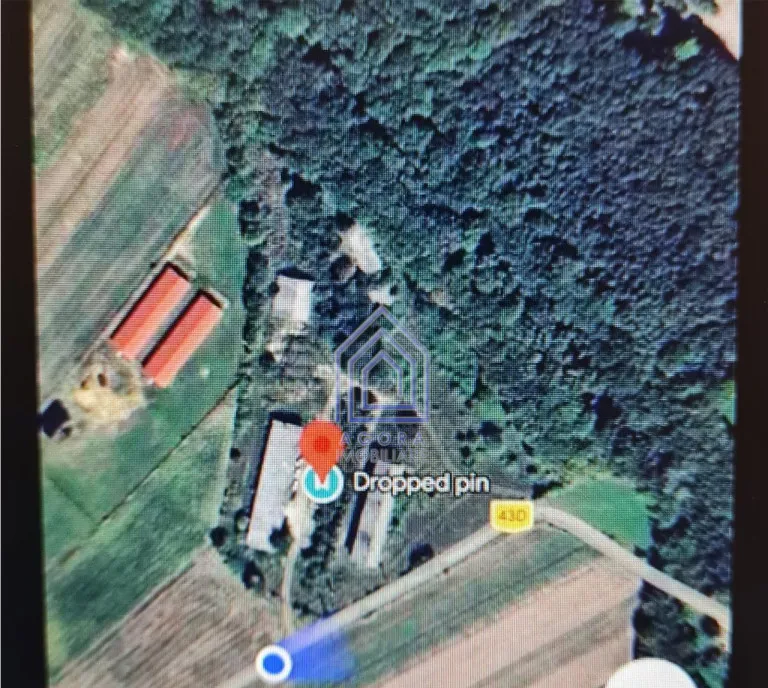 Teren 17400 mp si Constructii Comuna Todiresti Suceava