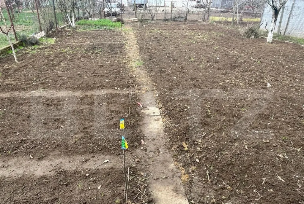 Casa de vanzare cu gradina foraj la 50 m adancime si fot