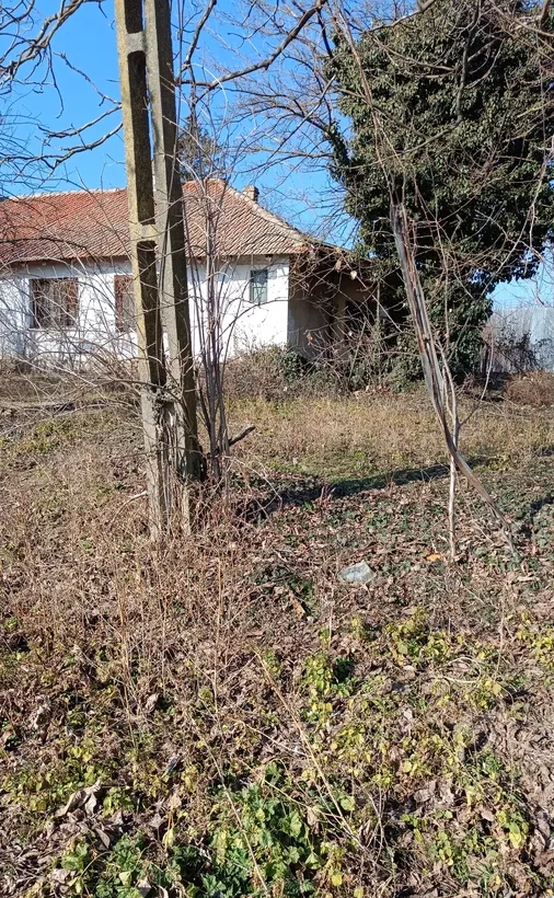 Petrechioaia Maineasca lac