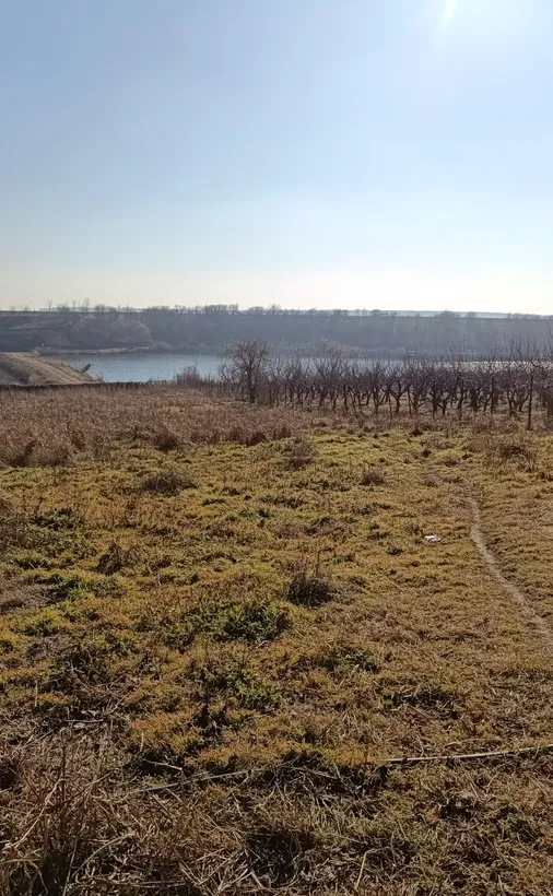 Petrechioaia Maineasca lac