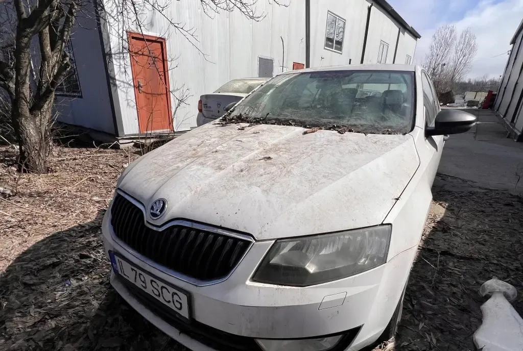 Skoda Octavia 2015 IL79SCG 5 280 eur