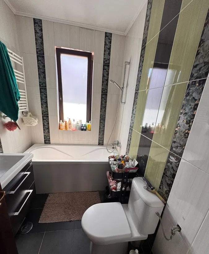 Domnesti Condominiul Brancovenesc