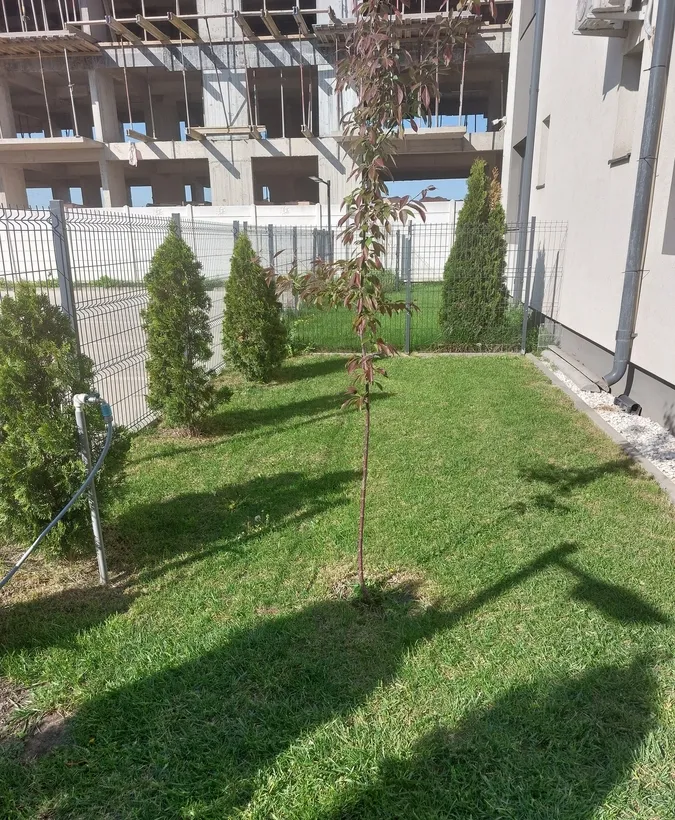 Dobroesti vand apartament cu curte