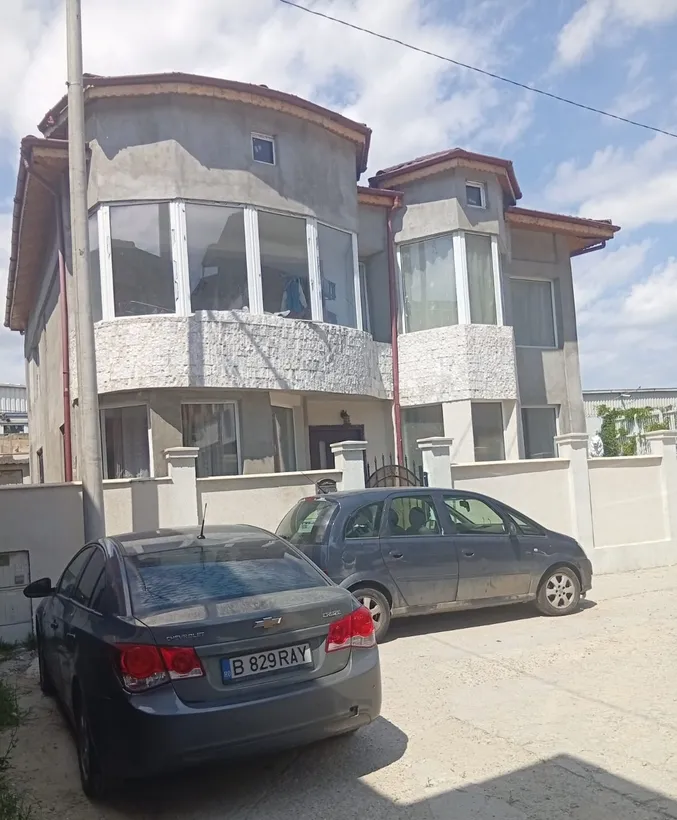 Delfinului Ostrov