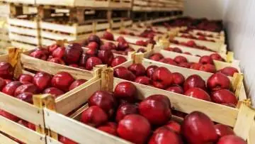agricultura mere aus