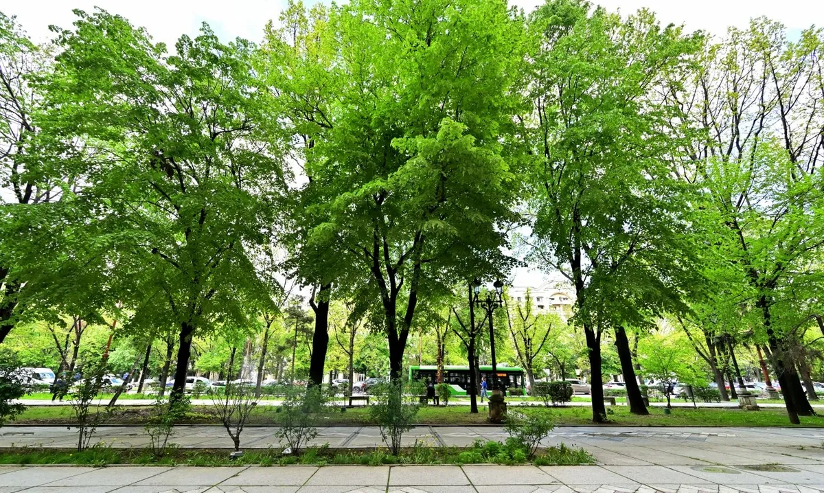 Unirii 12 Fantani vedere Mitropoliei Centrul Civic Palatul Parlamentului