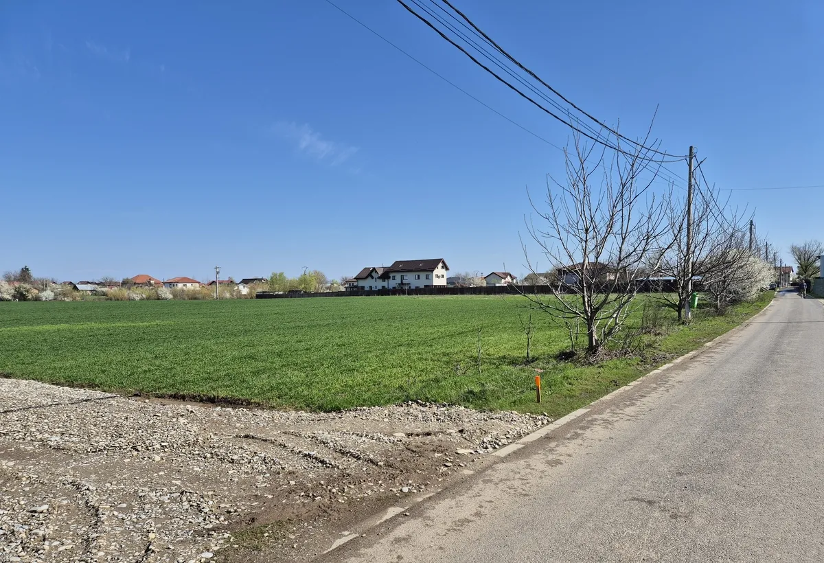 Snagov Ciofliceni loturi de casa intre 504 670 mp Serban Cantacuzino