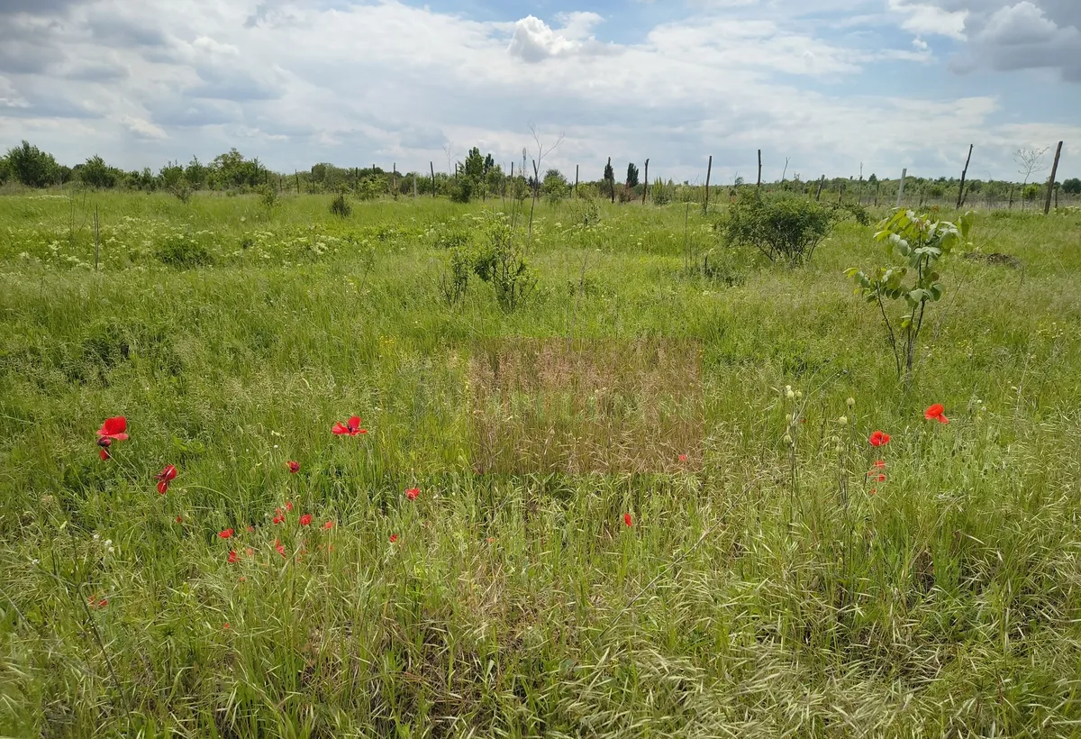 Teren Sectorul 6 Giulesti Sarbi Artera Drumul Sabareni