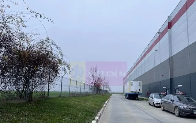 Teren Domnesti Depozit Altex Emag
