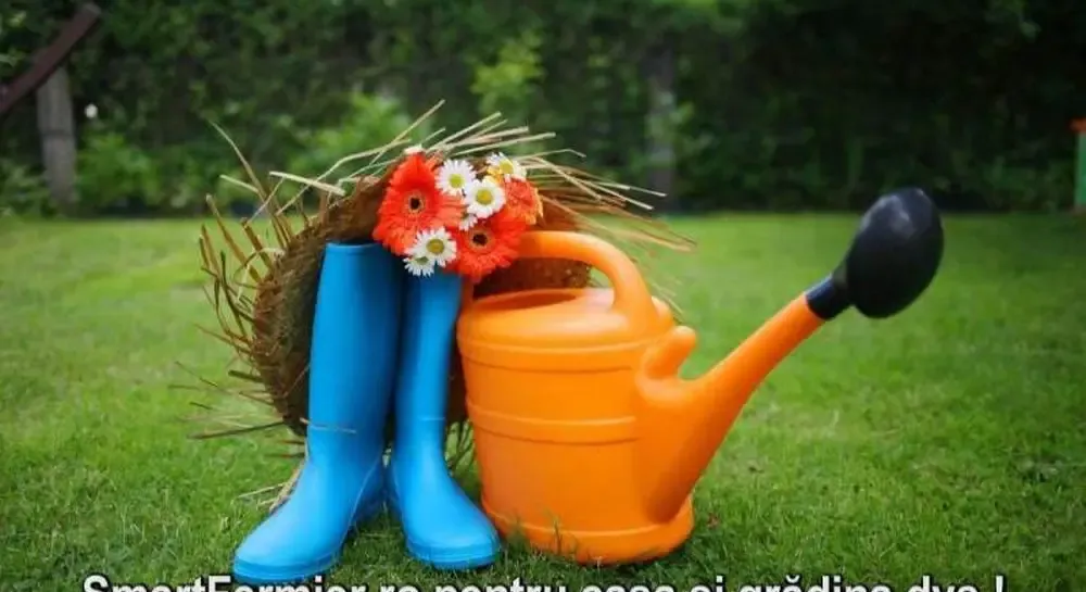 Magazin cu scule si unelte pentru casa si gradina
