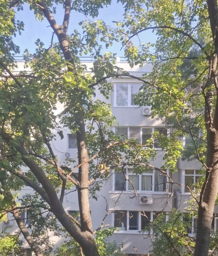 Lacul Tei Maica Domnului aproape Parcul Circului