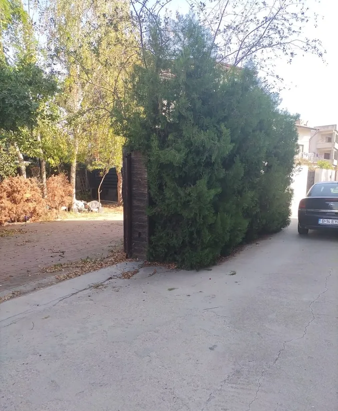 Pipera Voluntari