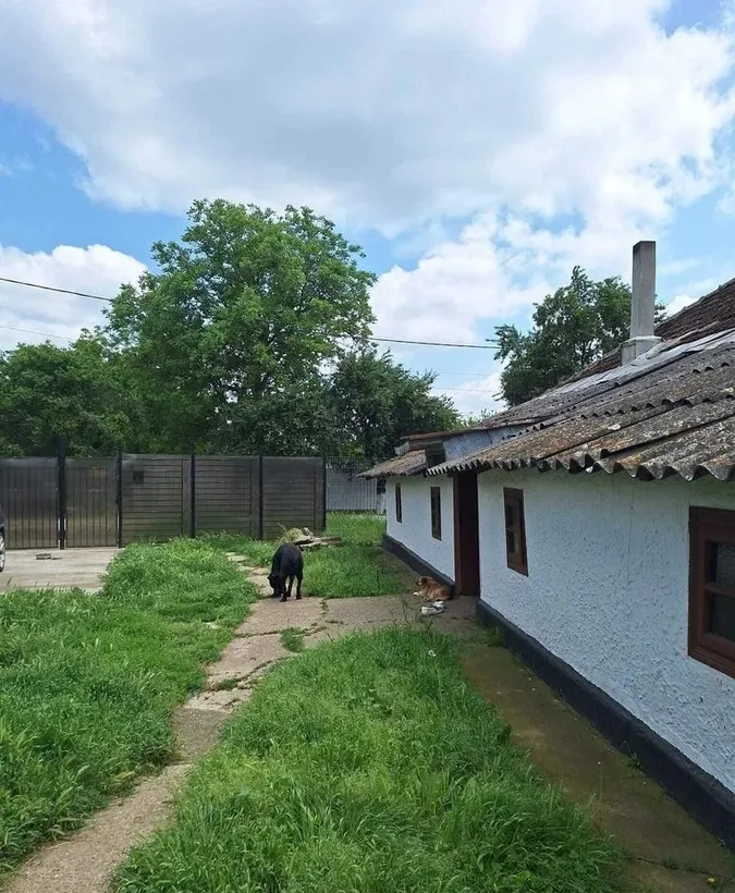 Muta te la tara teren 2500 mp gradina si casa aproape de Bucuresti
