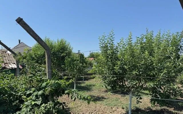 Corabia Olt casa de vanzare 4 camere