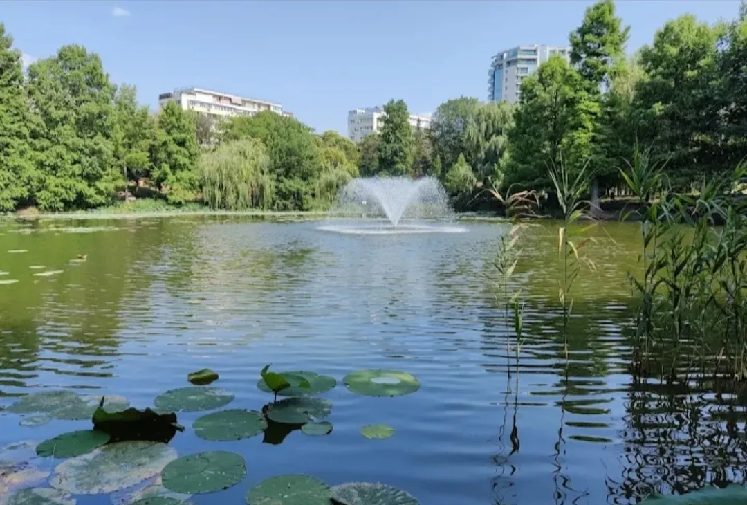 Parcul Circului Lacul Tei strada adiacenta cu acces direct in parc