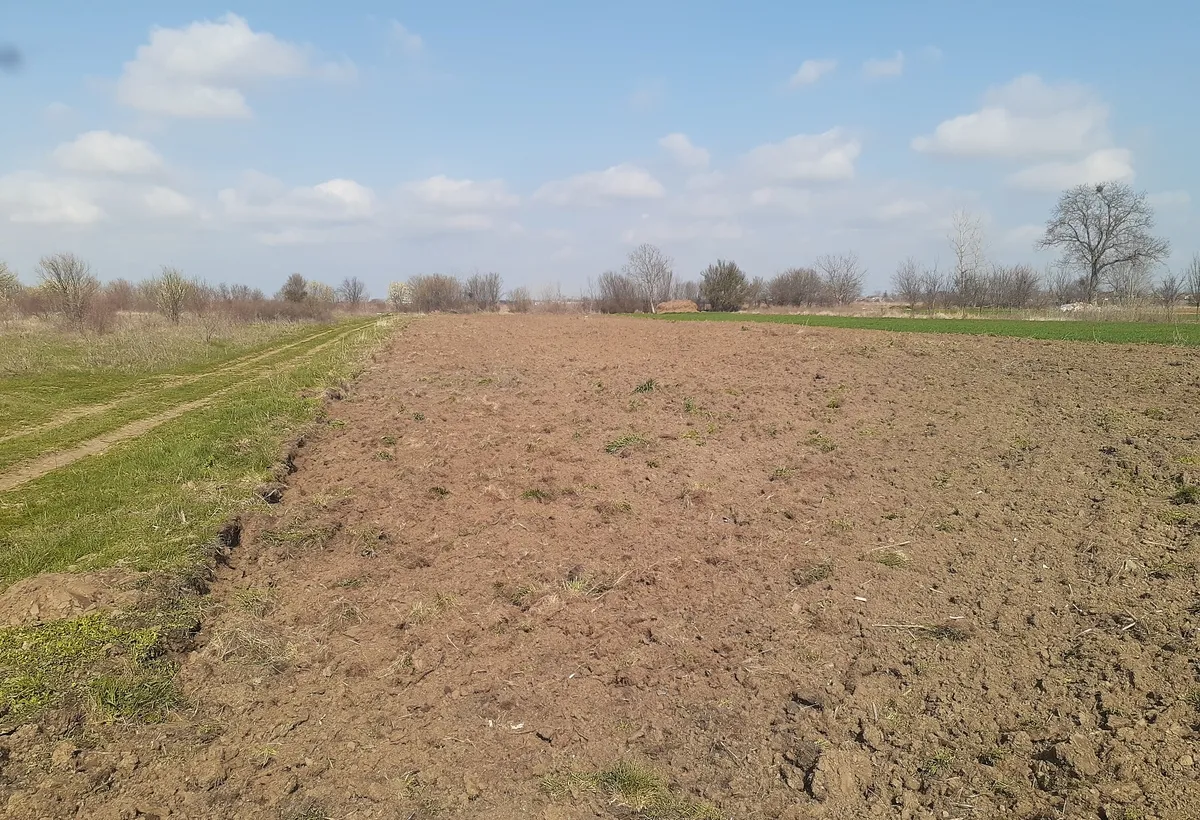 Tartasesti teren intravilan 2 441 mp vanzare avem si agricol