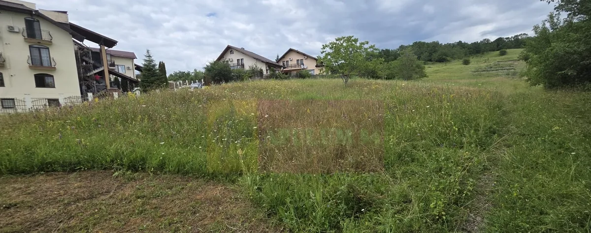Teren de vanzare in Campina Muscel
