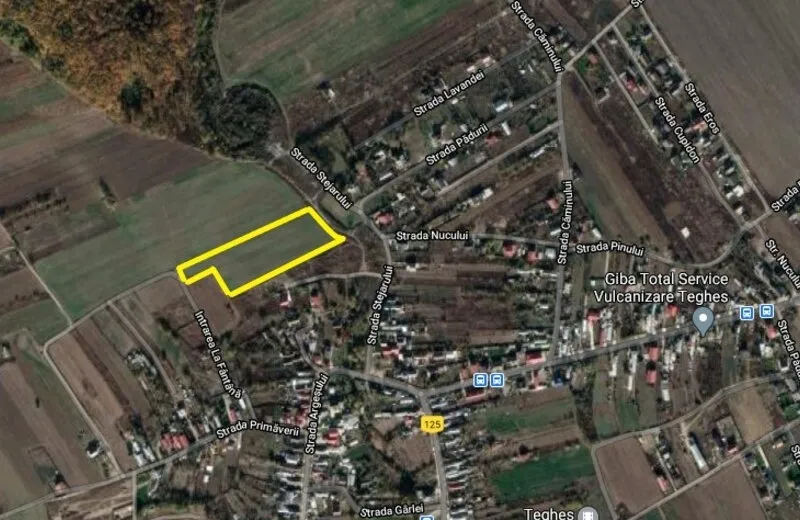 Domnesti Teghes 10 000 mp P 2 M utilitati