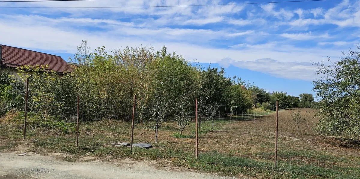 Magurele