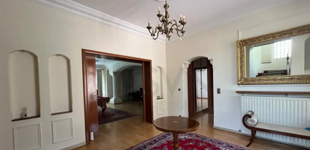 Vila Deosebita cu piscina Erou Iancu Nicolae