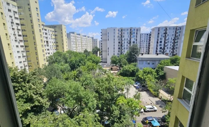 Pantelimon Delfinului