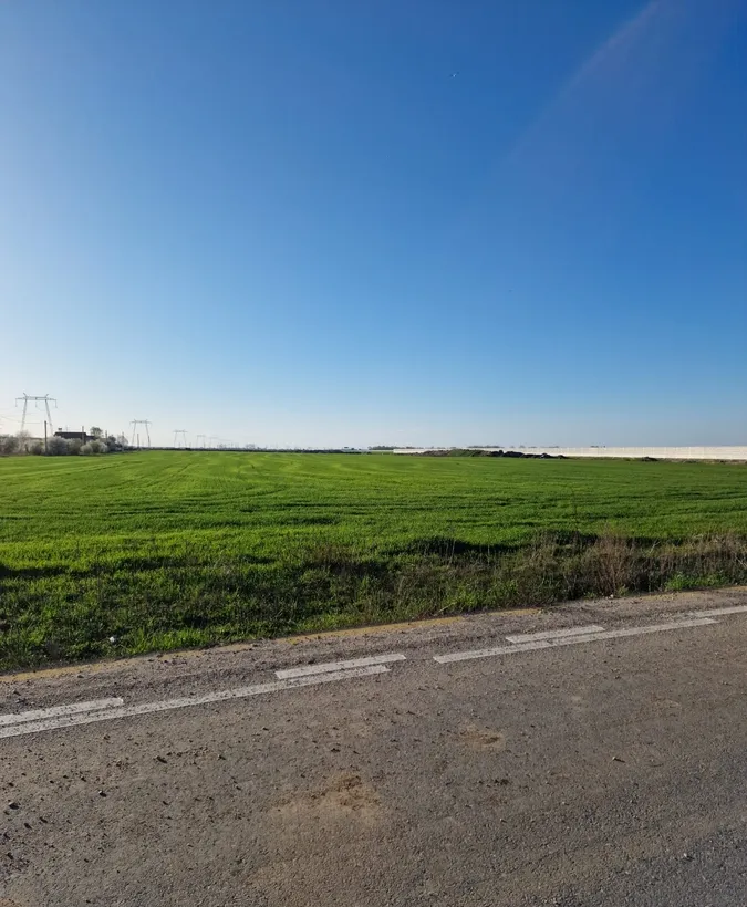 Magurele intrare Dumitrana centura A0