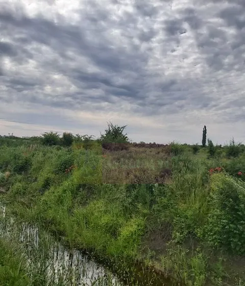 Teren Corbeanca Drumul Garii Odai