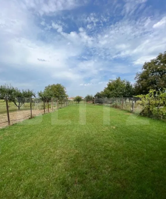 Proprietate de exceptie cu casa spatioasa piscina si