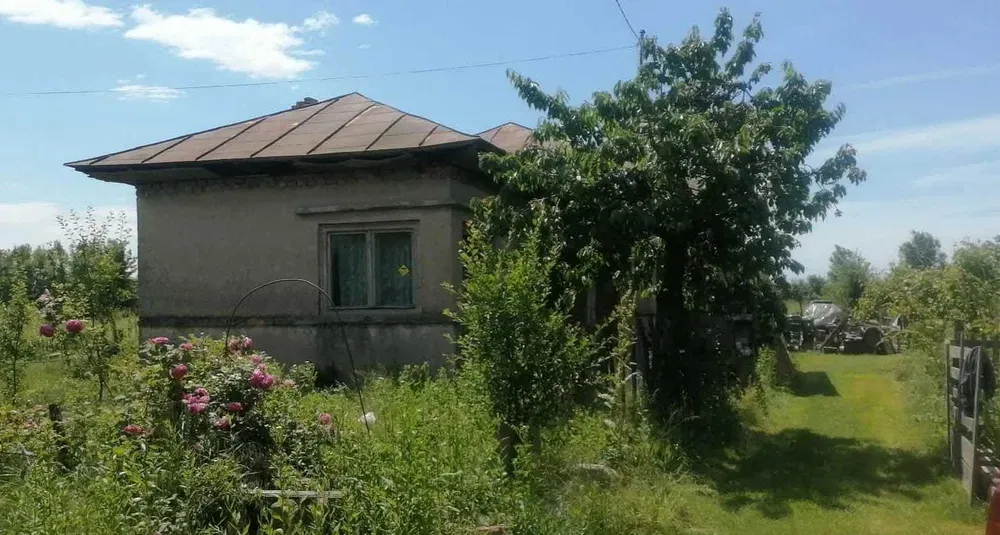 Cocorasti Colt Satu de sus Prahova