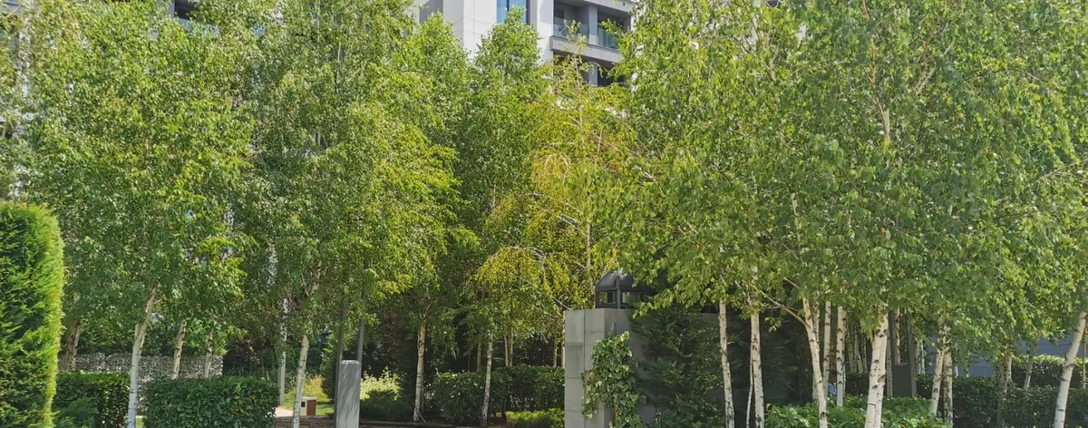 Cloud9 Residence Aviatiei Promenada Oregon Metrou Aurel Vlaicu si Pipera