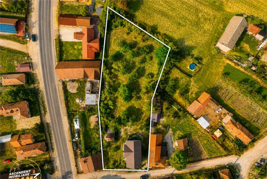Film Casa personalizabila 2 700mp teren pomi fructiferi la