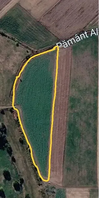 Vand teren extravilan in suprafata de 1 hectar