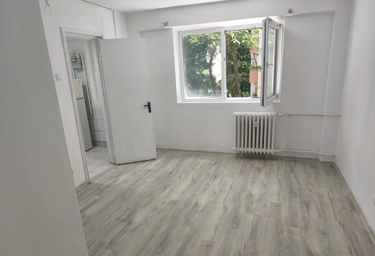 Teiul Doamnei nr 108 Parcul Tei Facultatea Constructii stradal