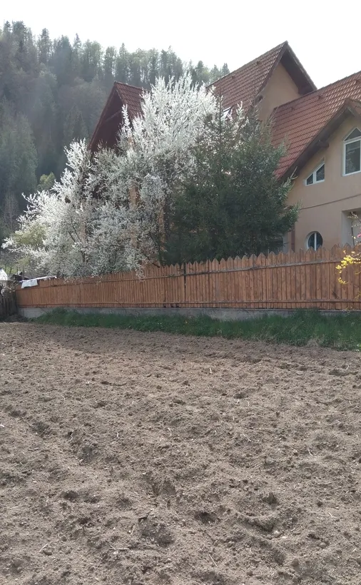Voineasa Valcea vila 13 camere investitie montana la pret de apartament