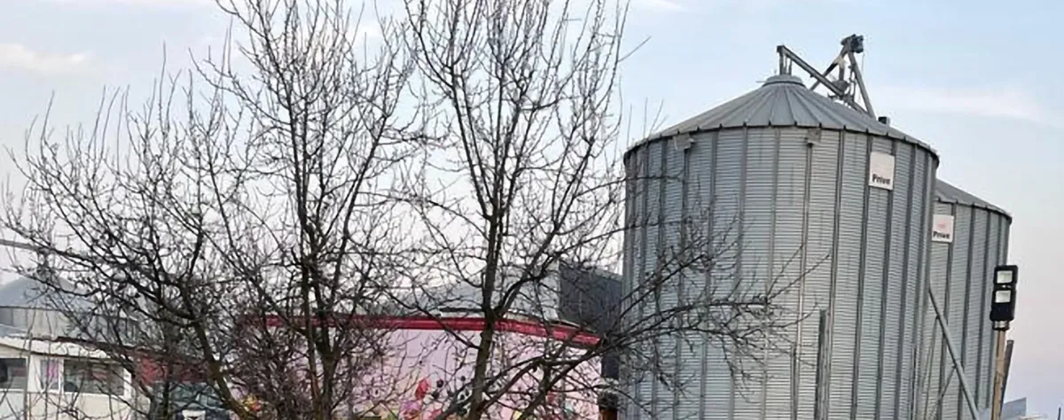 Centura Bucuresti vand teren 25000 metri constructii 3500 metri hala etc