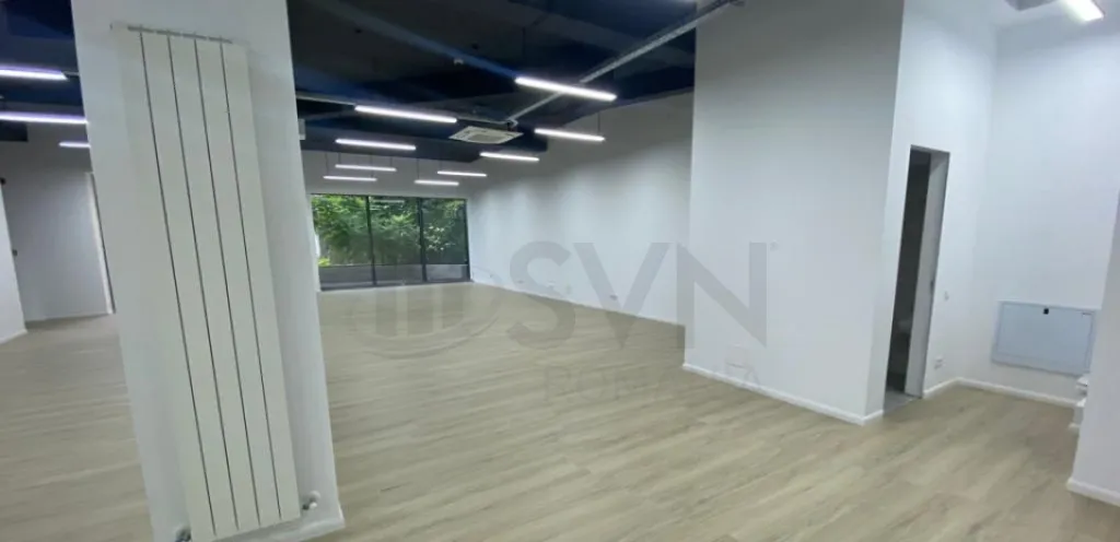 Vila de inchiriat Armeneasca 800mp Utili
