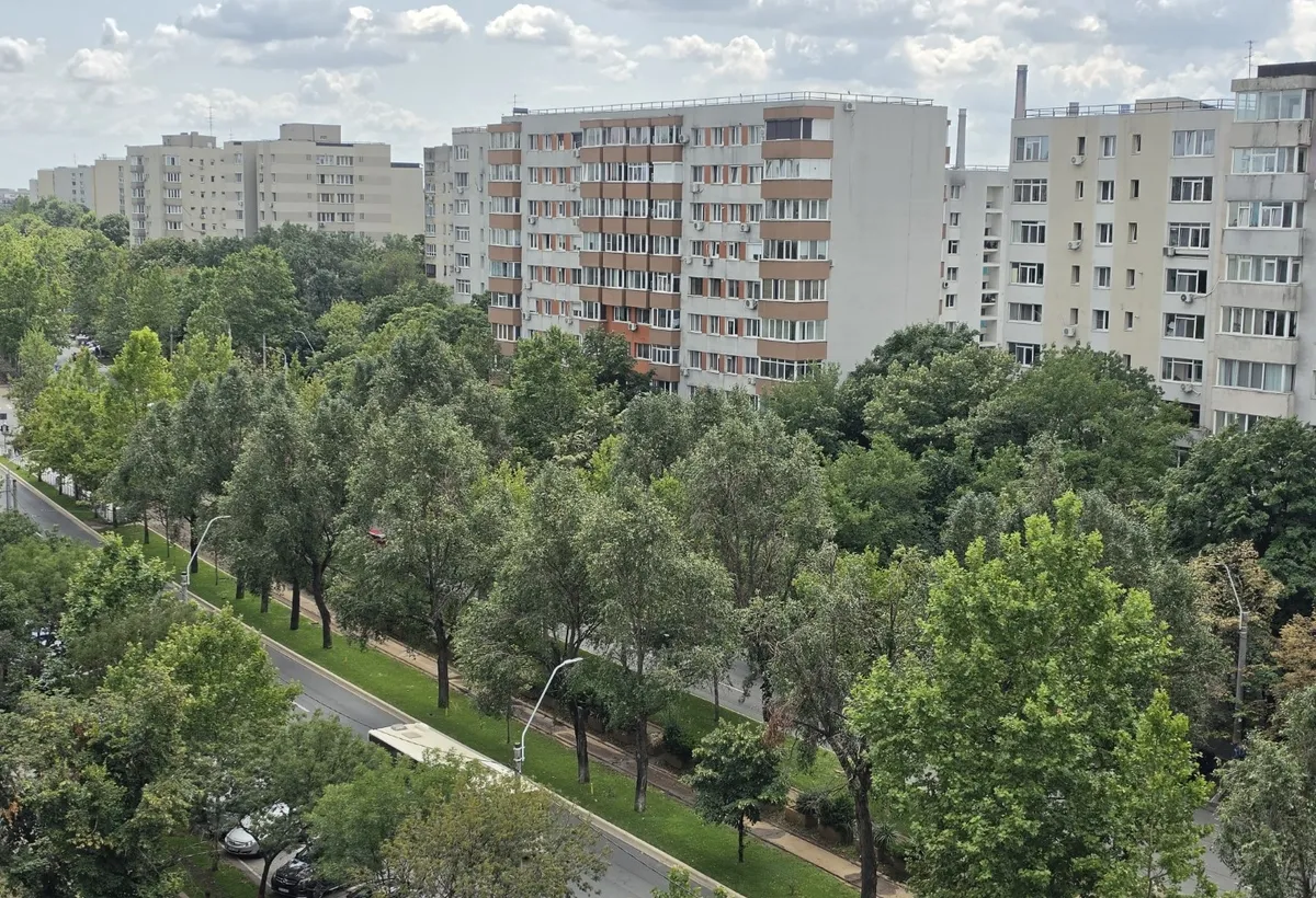 Dristor chiar la gura de metrou stradal pe Camil Ressu 5 minute parc ior