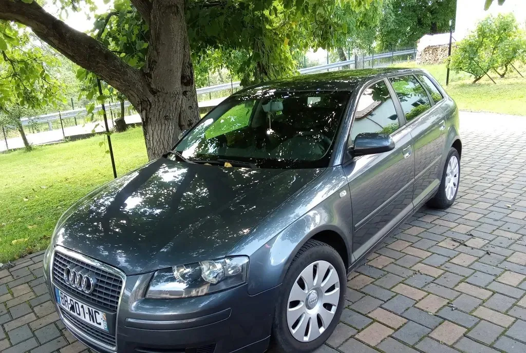 Audi A3 motor 1 9 TDI import Franta fara rugina 2 950 eur